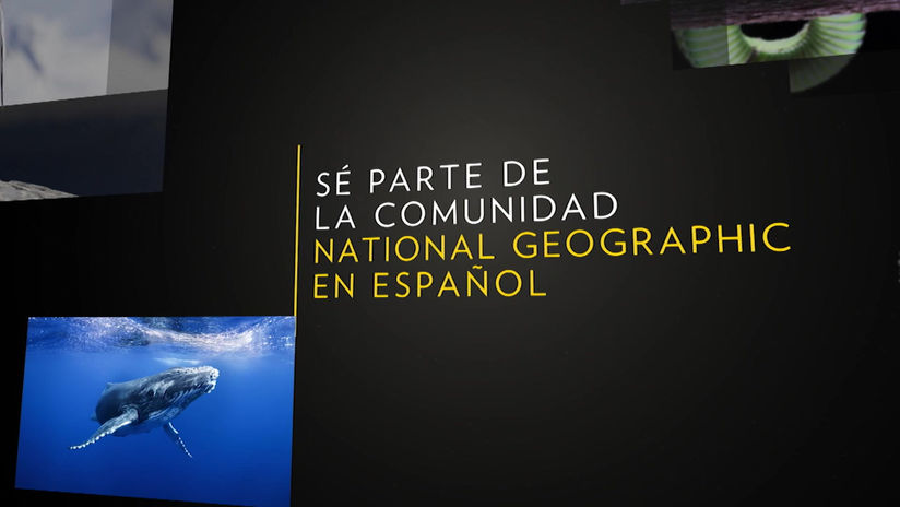 Grupo Trascendi - National Geographic